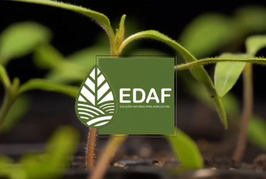 Noticias - Vídeo Apresentação EDAF
