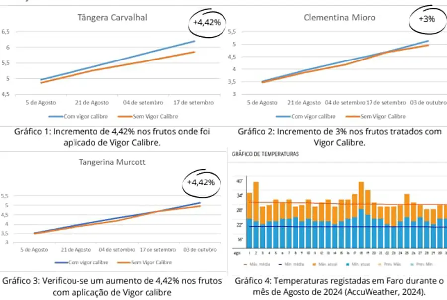 Notícia - O efeito do vigor calibre em citrinos