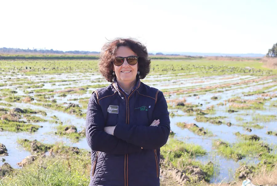 Encontro com técnicos e produtores de arroz