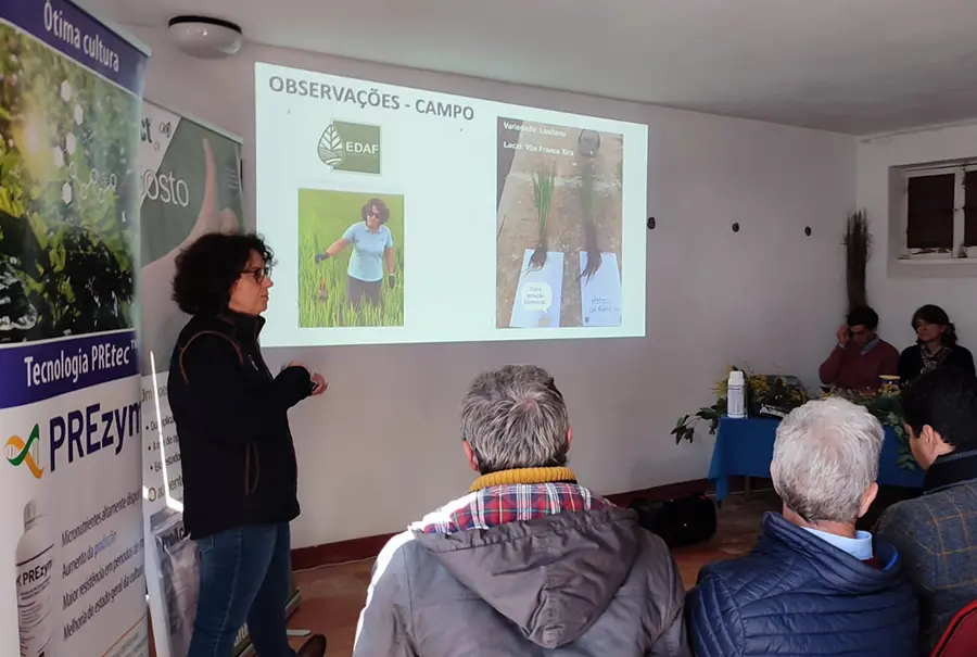 Encontro com técnicos e produtores de arroz