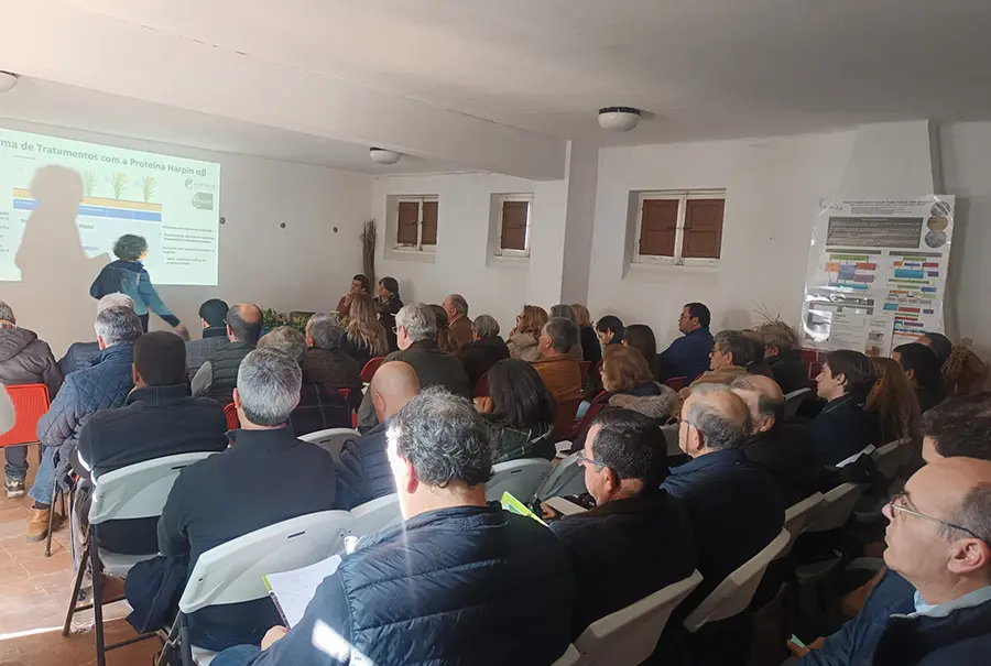 Encontro com técnicos e produtores de arroz