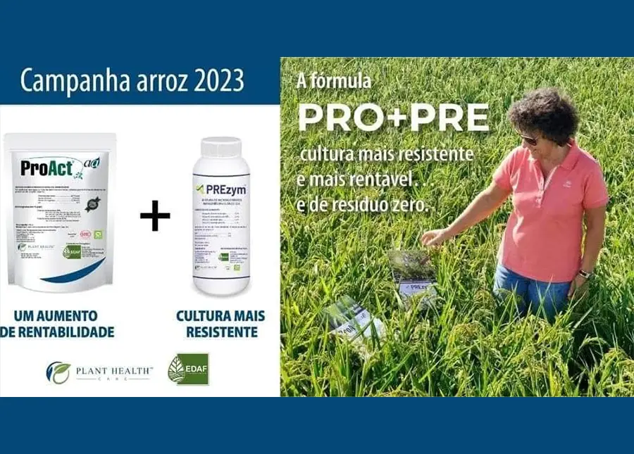 Publireportagem Encontro com Técnicos e Produtores de Arroz