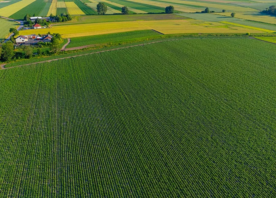 Publireportagem Transformar a Agricultura Global